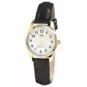 Reloj Qq Qyq C169j104y Casual Cuero Mujer Dama + Estuche