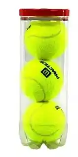 Tubo X3 Pelotas Tenis Wilson Practice Originales