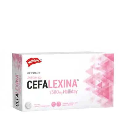 Cefalexina 500mg X Comprimido