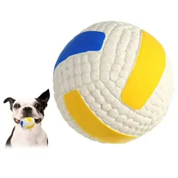 Pelota Chillona Xl