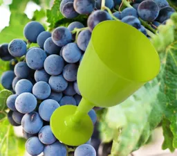 Copas Plasticas Para Vino De Color Verde Claro X6 Unidades