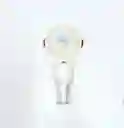 Mini Ventilador Deshumificador Blanco Sm860