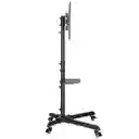 Soporte Tv Móvil Con Ruedas 32” A 55” Max 35kg Techgo Spr-6403