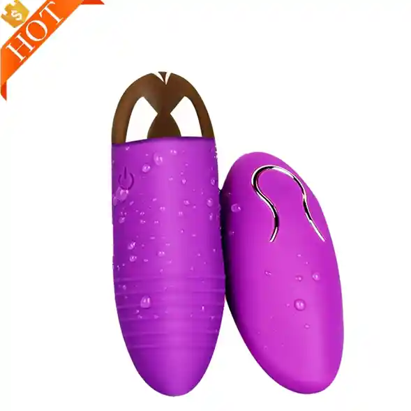 Vibrador Huevo Usb Con Control Remoto