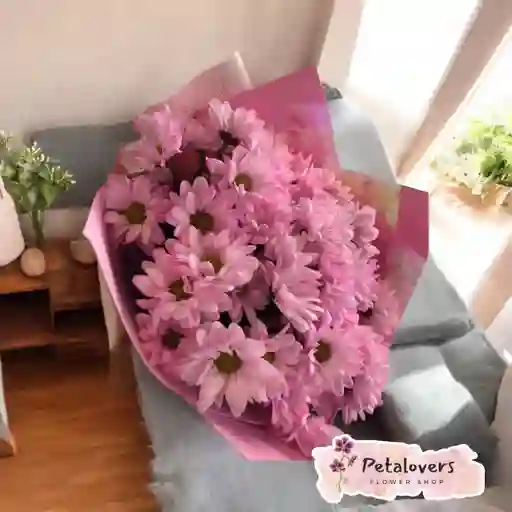 Flores Y Rosas De Margaritas Rosadas