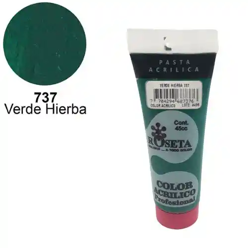 Roseta Pasta Acrilica - 45cc, Verde Hierba 737