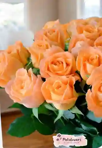 Flores Salmón Amor Y Amistad