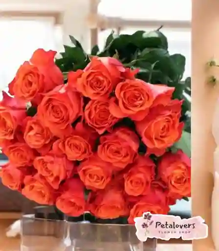 Rosas Salmón, Bouquet Amor Y Amistad