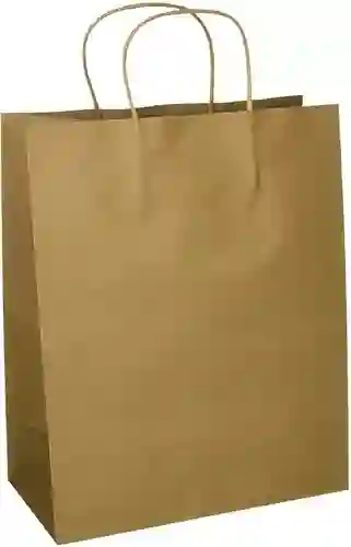 Bolsa De Papel Bio #30