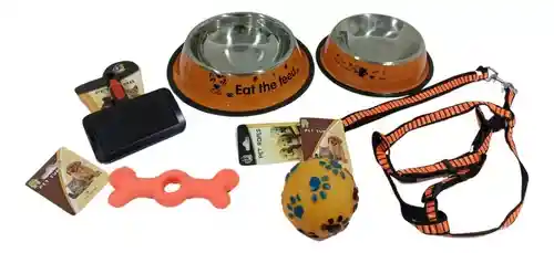 Kit Collar Lazo Platos De Comer Cepillo Pelota Y Juguete