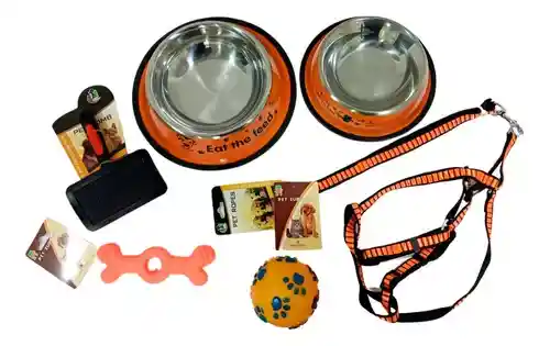 Kit Collar Lazo Platos De Comer Cepillo Pelota Y Juguete