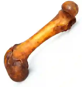 Hueso De Cerdo