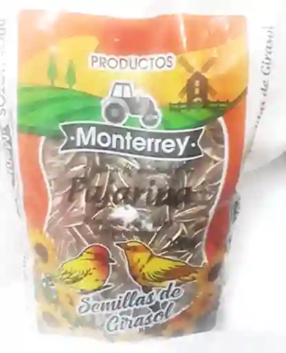 Semillas De Girasol Para Aves