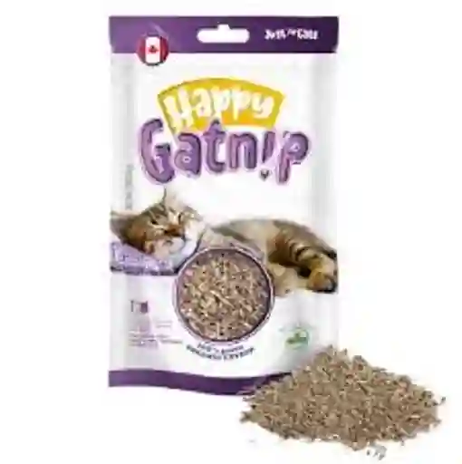 Catnip Happy Gatnip Gatos