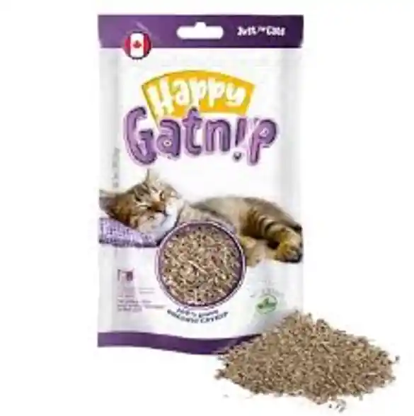 Catnip Happy Gatnip Gatos