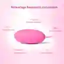 Vibrador Huevo Recargable Con Control Juguete Sexy 26495-21