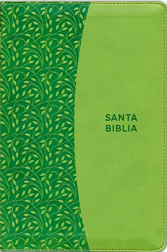 Biblia Rvr 1960/letra Grande/imitación Piel Verde