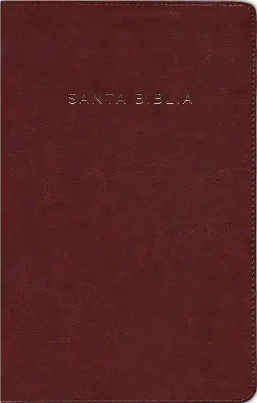 Biblia Rvr60/letra Grande/tamaño Manual/marrón