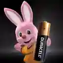 Pilas Duracell Alcalinas Aa Paquete De 2 Unidades Original