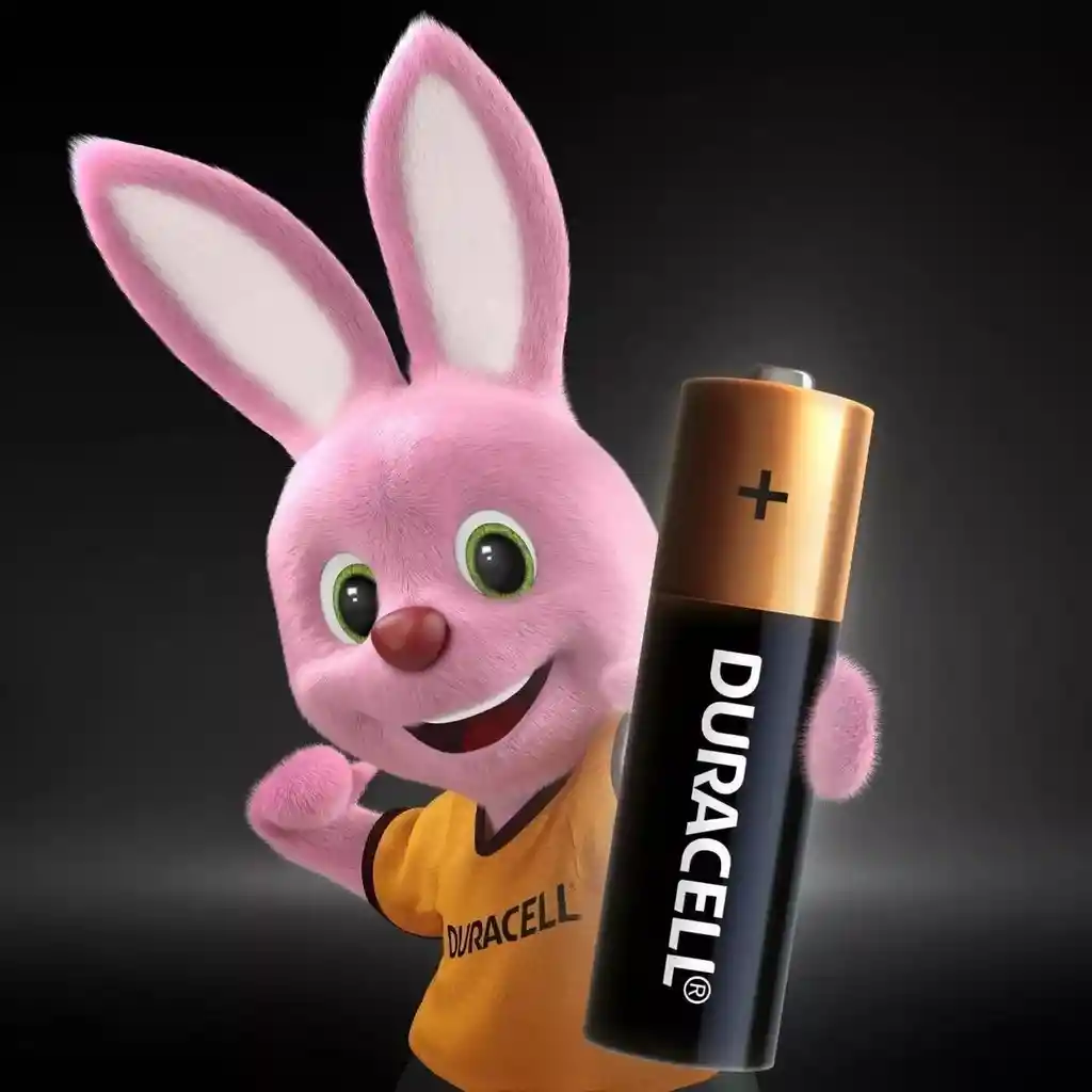 Pilas Duracell Alcalinas Aa Paquete De 2 Unidades Original