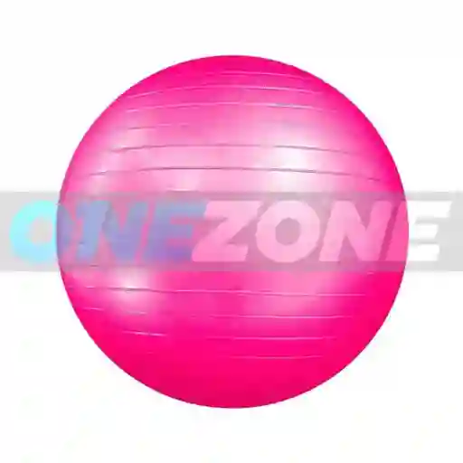 Pelota Fitnes Jump Ball 65 Centimetros/ Fucsia + Bomba De Inflar