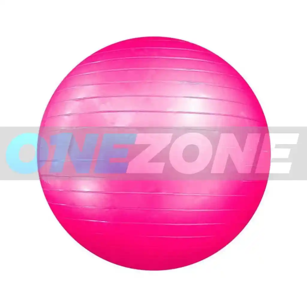 Pelota Fitnes Jump Ball 65 Centimetros/ Fucsia + Bomba De Inflar