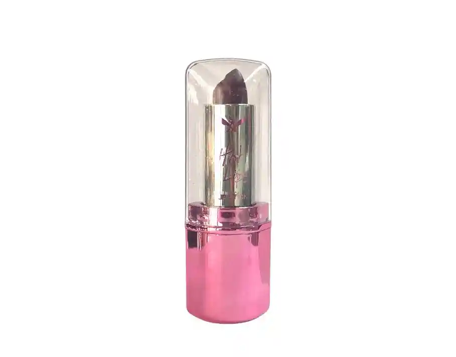 Afrodita Labial Matte B#4