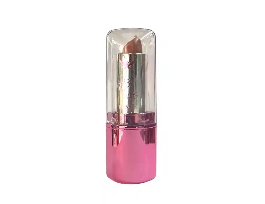 Afrodita Labial Matte B#6