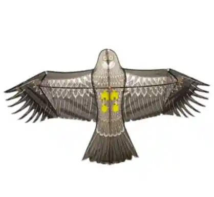 Cometa Mediana Para Volar Motivo Águila 145*68 Cm