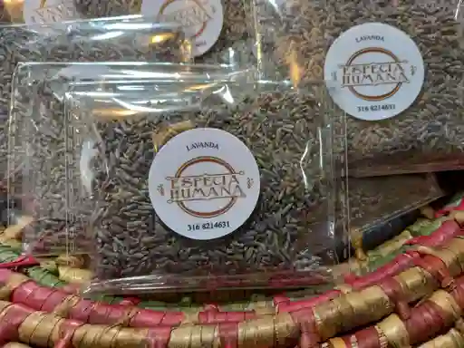 Lavanda (refill)