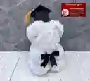 Felicidad Graduado