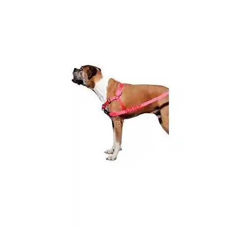 Harnes Pink Led Soft-walk Harness De Control Talla M