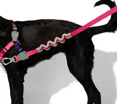 Correa Yucca Ruff Leash Anti-tiron Talla S