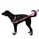 Correa Yucca Ruff Leash Anti-tiron Talla S