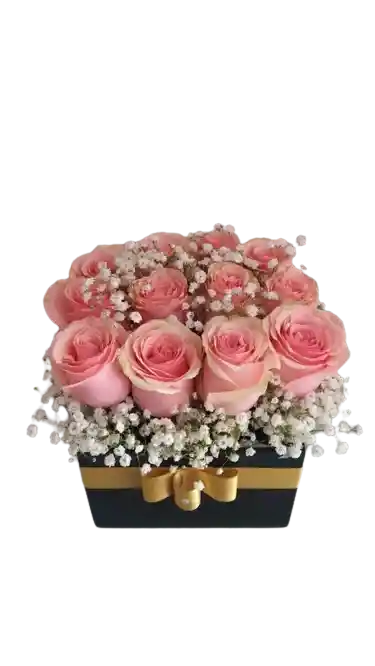 Caja Con Rosas X12