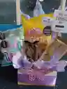 Ancheta Tu Mi Novia Amada
