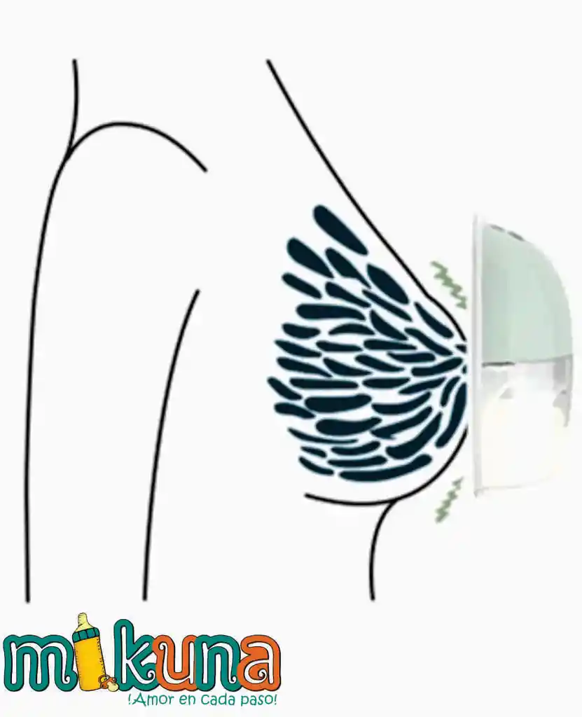 Extractor Manos Libres