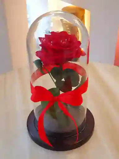 Rosa Preservada Roja