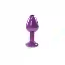 Plug Anal Dipsy Camtoyz