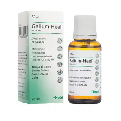 Galium-heel Gotas Orales En Solución X30ml