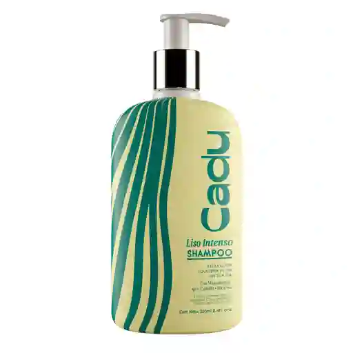 Shampoo Liso Intenso