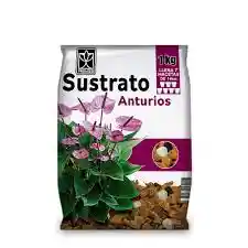 Sustrato Anturios X 1 Kg