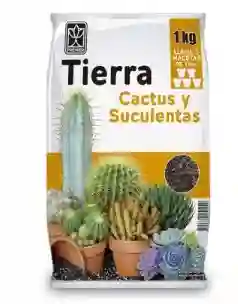 Tierra Cactus Y Suculentas X 1 Kg