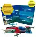 Libro Exploradores Juego 2 En 1 Figuras Tiburones Para Niños