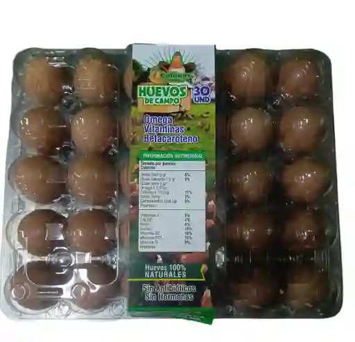 Estuche De Huevos X 30 Und