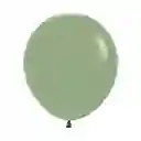 Globo Bomba Pequeña 13cm Biodegradable Eucalipto (r5)