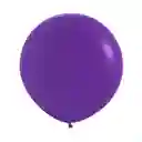 Globo Bomba Pequeña 13cm Biodegradable Violeta(r5)