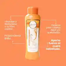 Acondicionador Con Ginseng Anyeluz