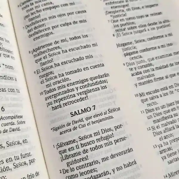 Biblia Nvi Letra Grande Tamaño Bolsillo Marron Claro