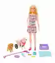Muñeca Barbie Perrito En Silla De Ruedas.